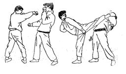 apprendre le kung fu image 3