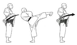 apprendre le kung fu image 2