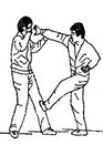 Learn Kung Fu image 1