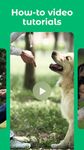 Dogo - your dog's favourite app στιγμιότυπο apk 3