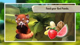 Captură de ecran My Red Panda - The cute animal simulation apk 11