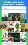 Adobe Express: Grafica, Design ảnh màn hình apk 3