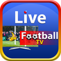Biểu tượng apk Live Football TV