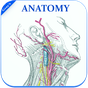 APK-иконка Gray's Anatomy - Atlas || Offline || Free