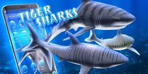 3D tiger sharks theme image 