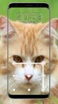 Kitty Cat Pattern Lock Screen obrazek 12