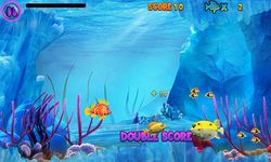 Fish Feeding Frenzy ảnh số 8