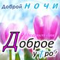 Доброе утро, Добрый день, Доброй ночи