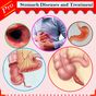 All stomach diseases and treatment icon