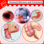 All stomach diseases and treatment APK Simgesi
