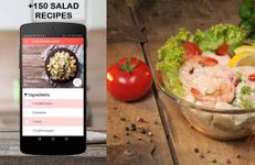 Salad Recipes στιγμιότυπο apk 14