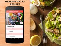 Salad Recipes στιγμιότυπο apk 5