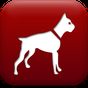 Dog Breed Auto Identify Photo icon