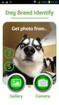 Dog Breed Auto Identify Photo screenshot apk 3