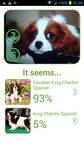 Dog Breed Auto Identify Photo screenshot apk 4