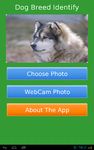 Dog Breed Auto Identify Photo screenshot apk 