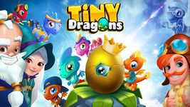 Tiny Dragons image 8