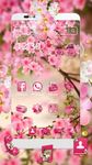 Imagine Pink Summer Flower Tema 2