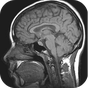 Иконка MRI Viewer