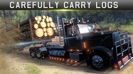 Cargo Dump Truck Driver Simulator PRO Europe 2018 image 4