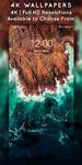 Captură de ecran 4K Wallpapers (4K | Full HD Backgrounds) apk 