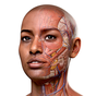 Complete Anatomy for Android Simgesi