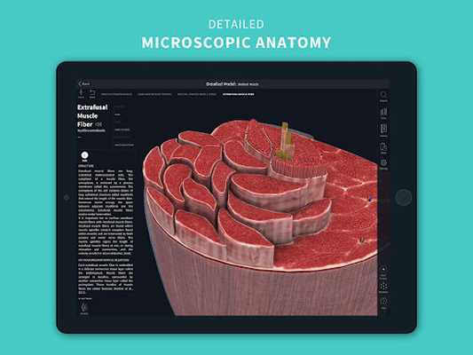 complete anatomy android