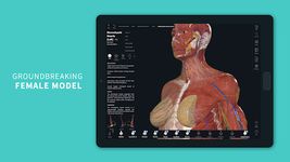 Скриншот 5 APK-версии Complete Anatomy for Android