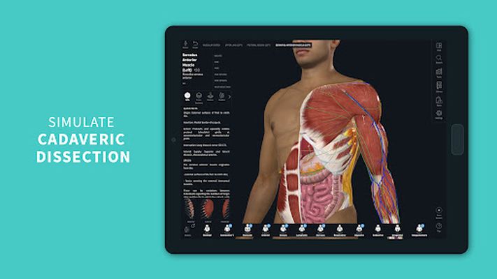 complete anatomy free trial