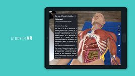 Screenshot 3 di Complete Anatomy for Android apk