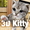 Kitty & cat live wallpaper  APK
